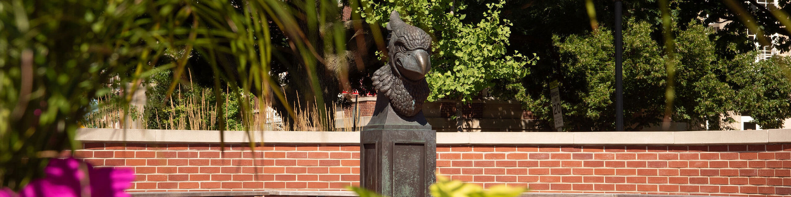 Redbird Plaza in the Spring